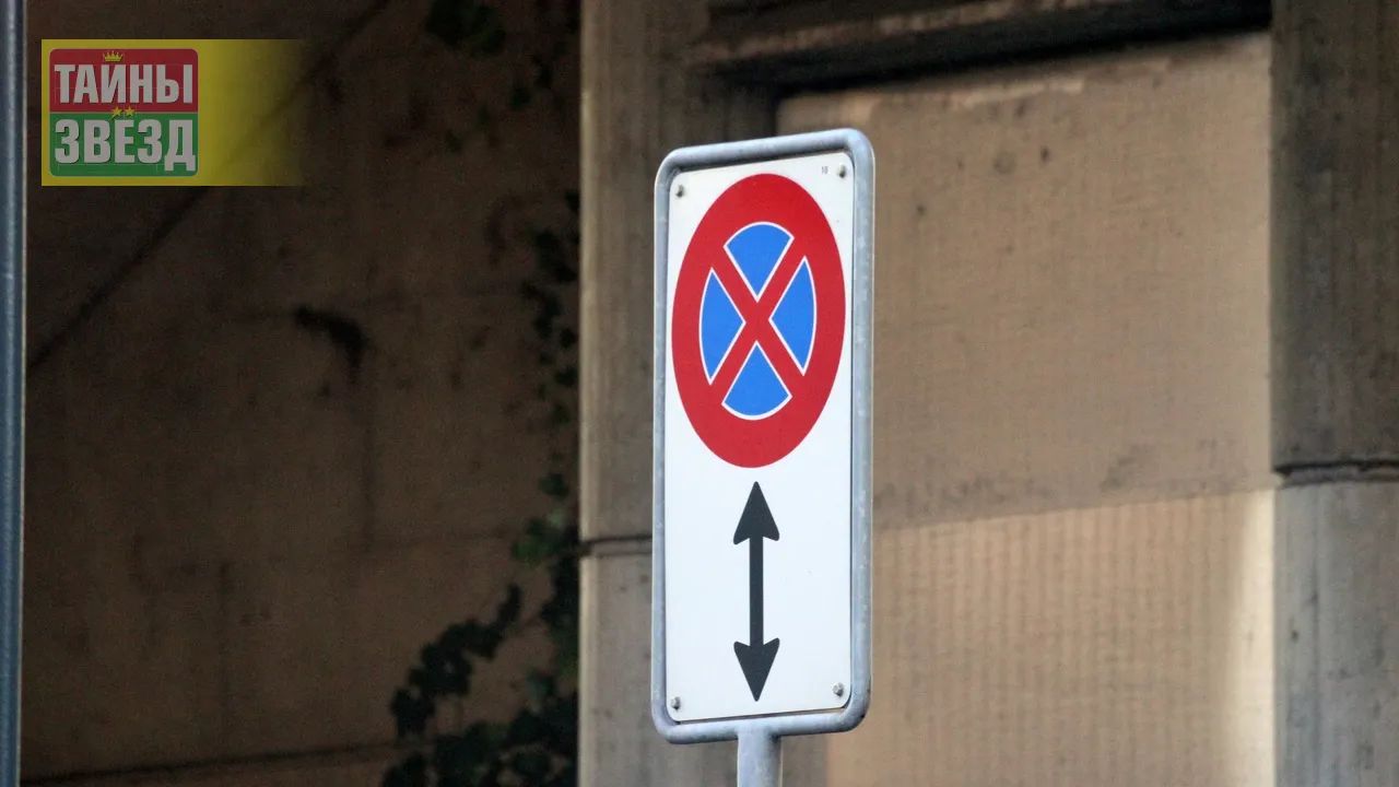 Знак "Стоянка и остановка запрещена"