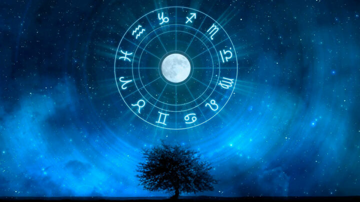 Знаки зодиака в круге над деревом