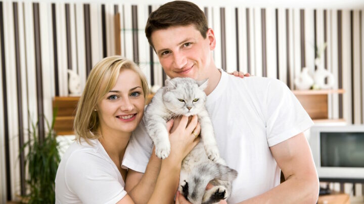 Счастливая пара с котом
