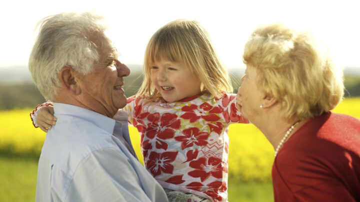 Внучка на руках у дедушки и бабушки