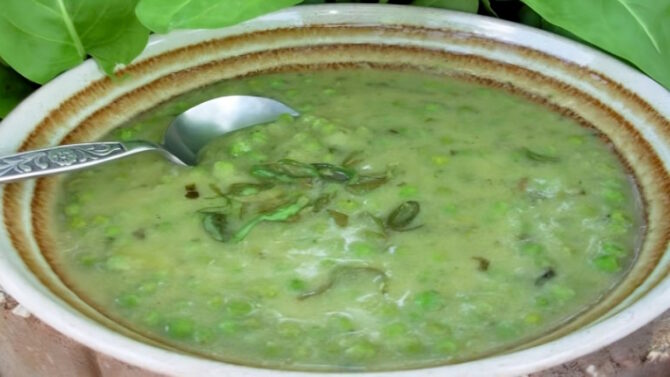 Крем-суп из щавеля