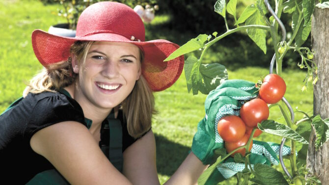 Девушка держит помидоры на кусте