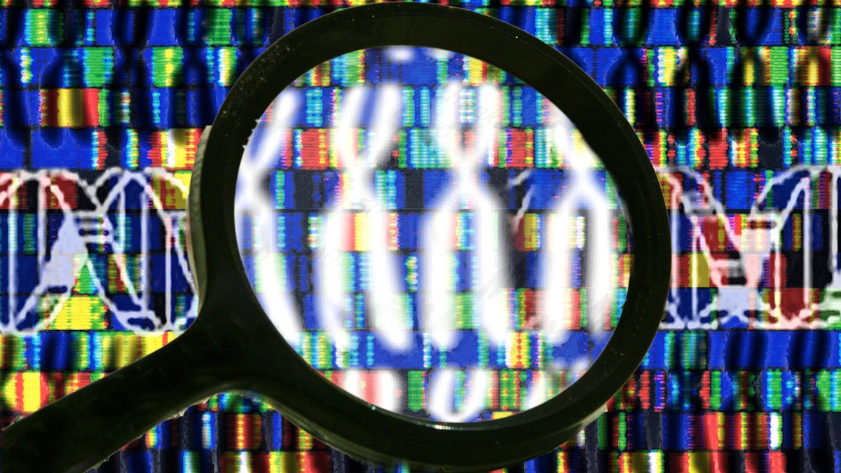 Схематичное изображение ДНК