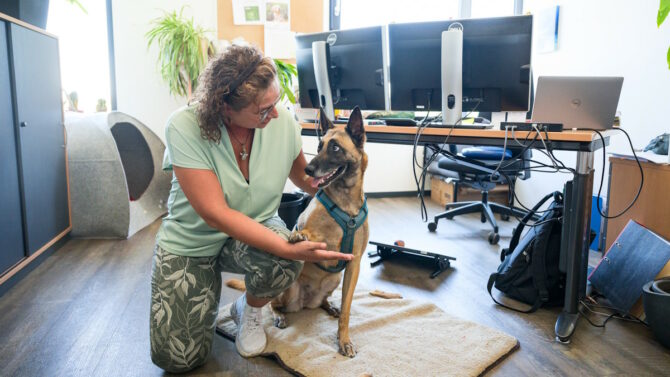 Женщина гладит собаку в офисе