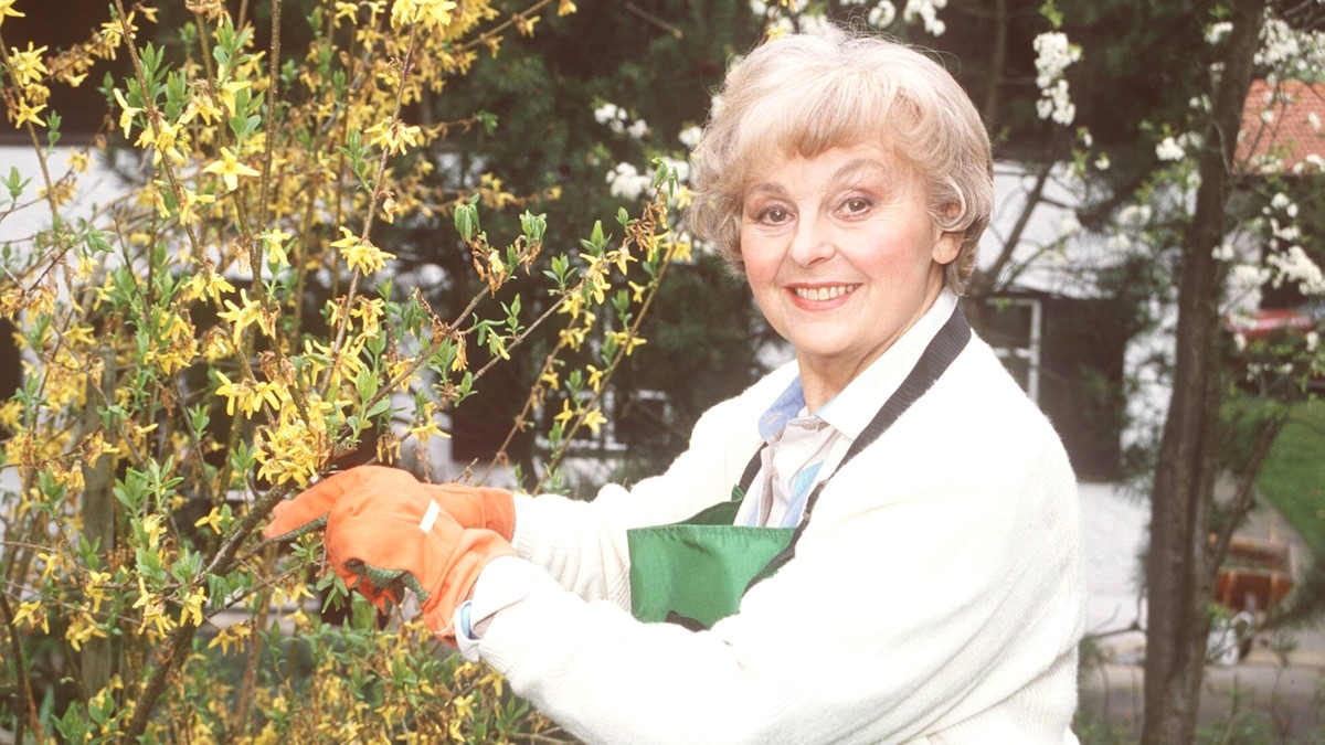 Женщина в перчатках обрабатывает садовое растение
