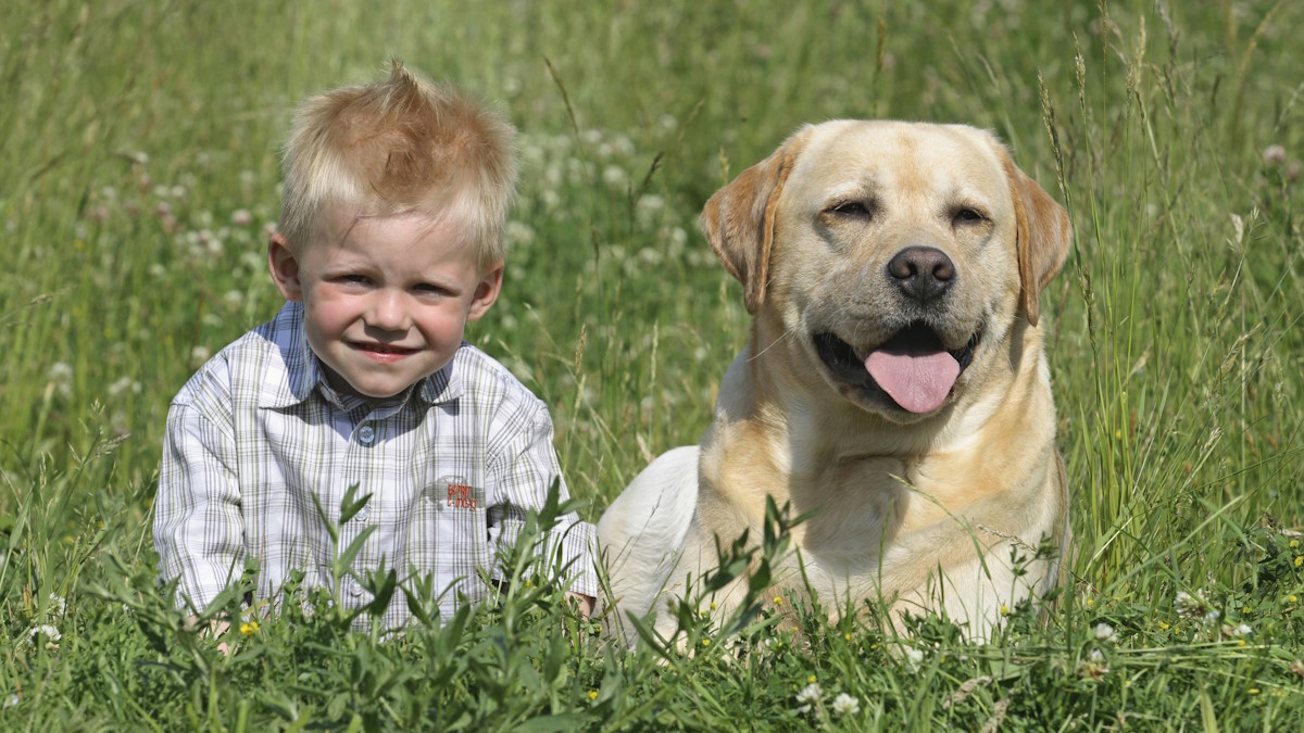 мальчик с собакой сидят в траве