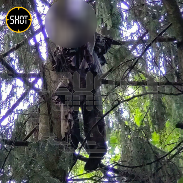 Несколько лет назад в одном спортивном лагере произошла такая история план текста
