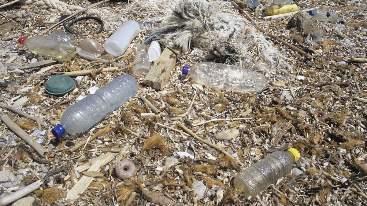 Загрязнение берега пластиковыми отходами